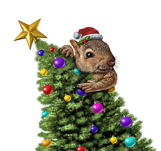 松鼠图标趣的松鼠装饰诞树寒假问候图标白色背景上与3D插图元素隔离白色背景上背景