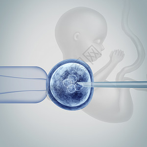 医学生物技术保健与受精的人类卵胚分裂细胞与胎儿与三维插图元素背景图片