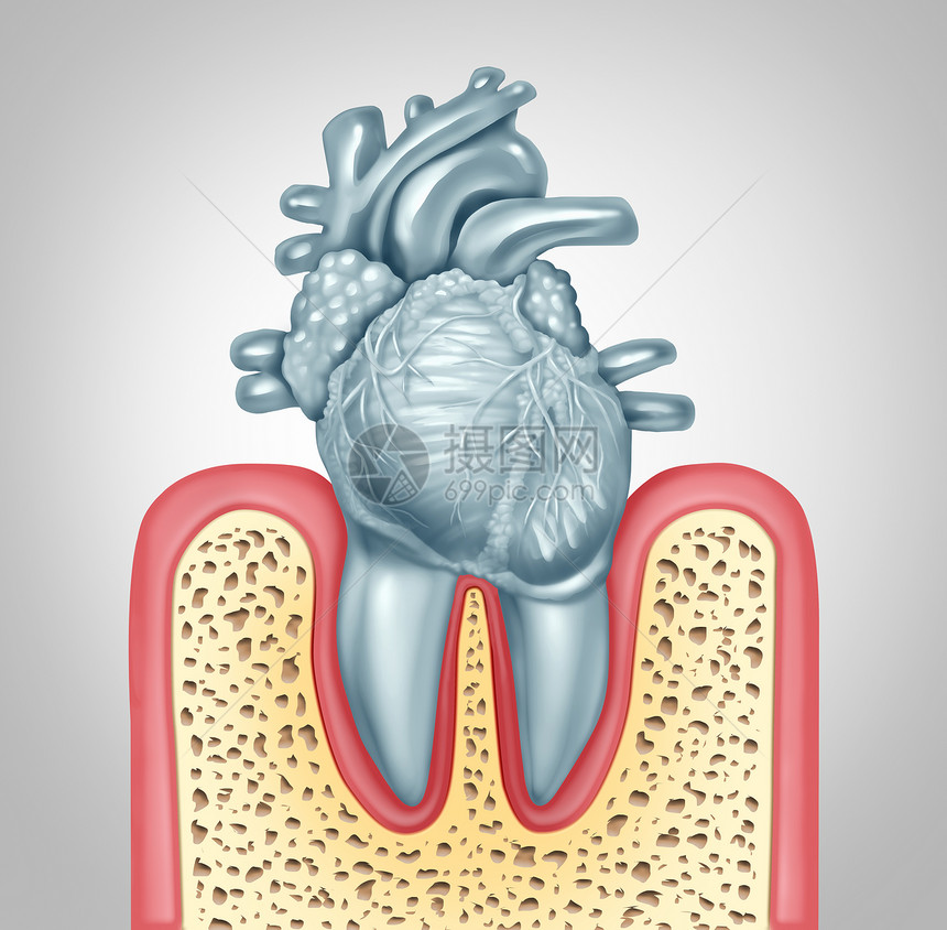 牙齿护理口腔健康心脏病卫生引的牙菌斑牙龈感染,由于口腔细菌破坏瓣膜,如牙齿形状为心血管器官,三维插图图片