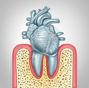 牙齿护理口腔健康心脏病卫生引的牙菌斑牙龈感染,由于口腔细菌破坏瓣膜,如牙齿形状为心血管器官,三维插图背景图片