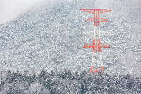 雪竹长野竹浦松林冬季景观电杆动力柱背景