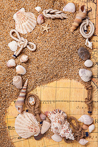 沙子上各种贝壳的背景旧的风景沙子上的各种贝壳旧上的框架图片