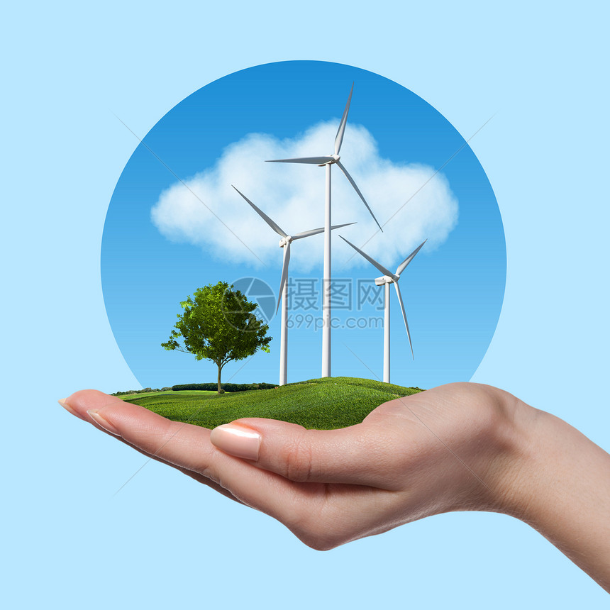 草地上树的风力涡轮机握着女人的手,抗蓝天云彩绿色能源风力涡轮机,女手中树图片