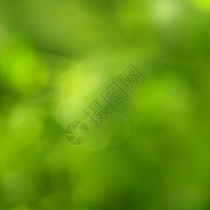 抽象的绿色背景与自然的Bokeh图片