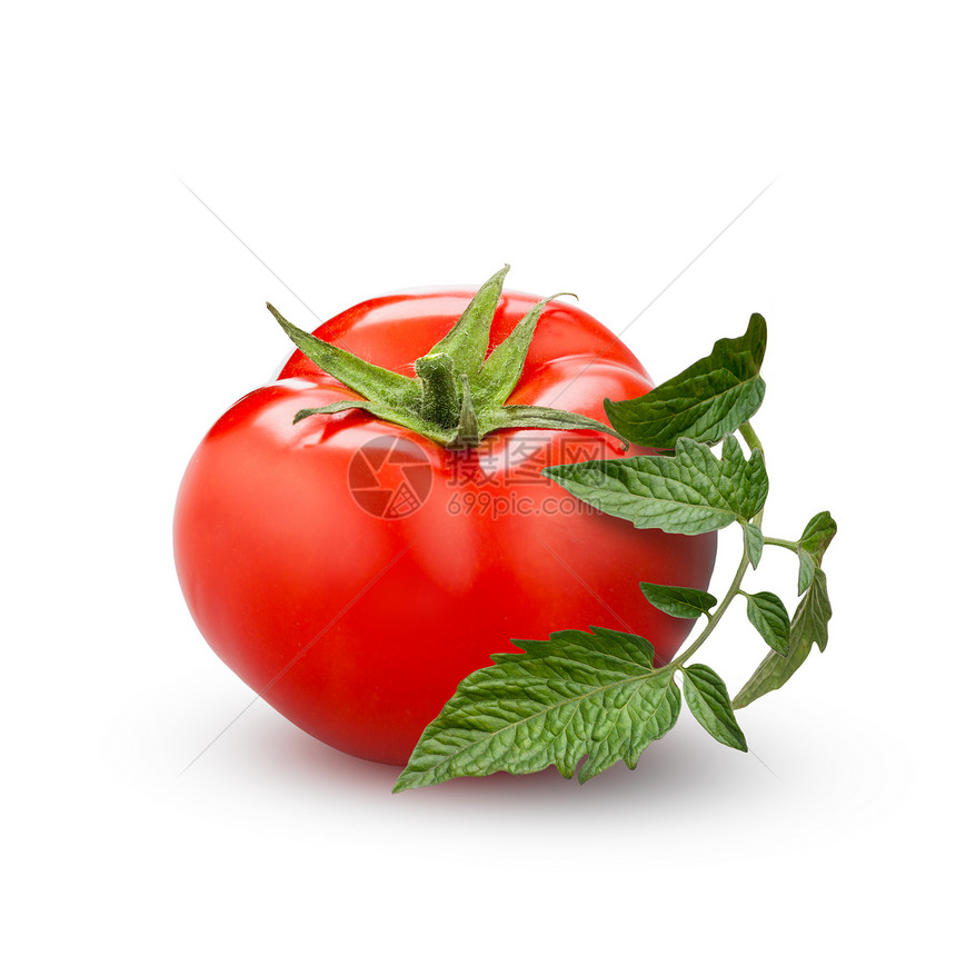白色背景上分离出绿叶的番茄番茄与绿叶分离白色图片