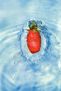 新鲜草莓溅蓝色的水里图片