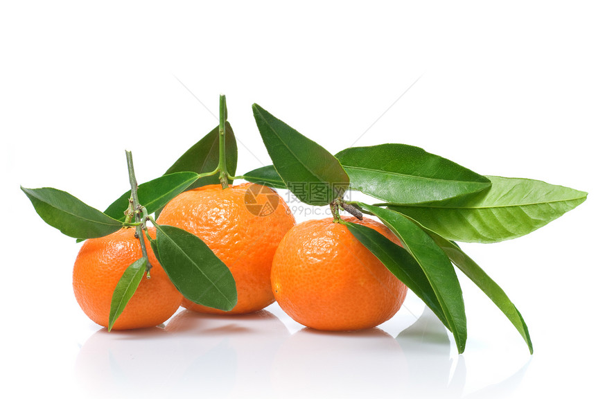 橘子,绿叶白色上隔离图片