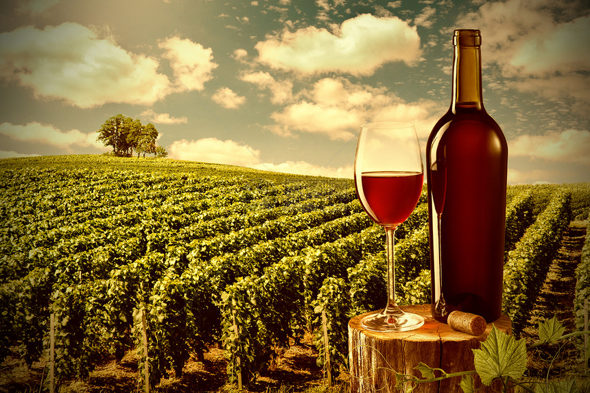 璃瓶红酒反葡萄园的景观图片
