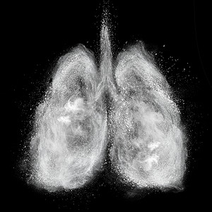 由白色粉末爆炸制成的肺图片