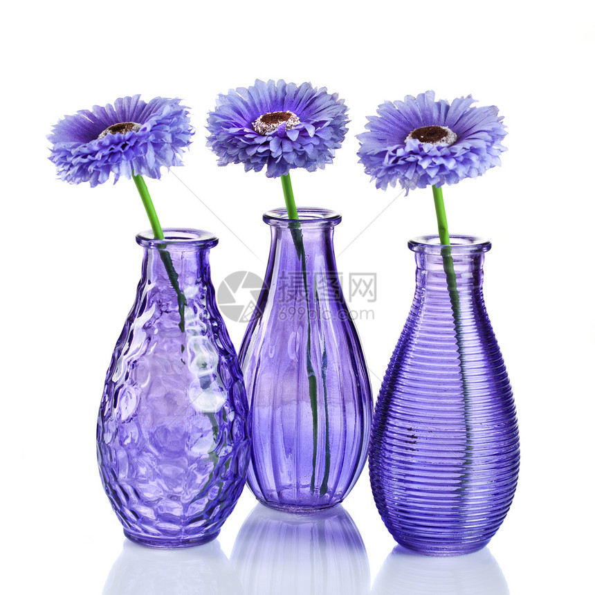 蓝色的花白色的花瓶里图片