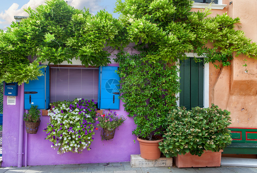 意大利威尼斯附近的博拉诺岛上花的彩色房子图片