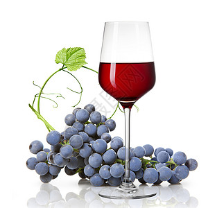 杯红酒葡萄分离白色图片