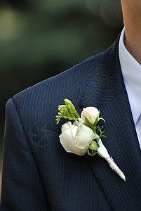 扣眼曼斯套房上玫瑰的婚礼纽扣孔背景