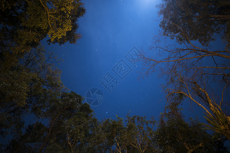泰国热带森林的夜空图片