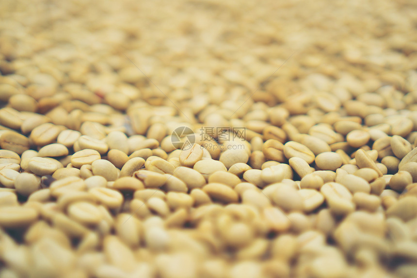 咖啡豆的抽象纹理背景图片