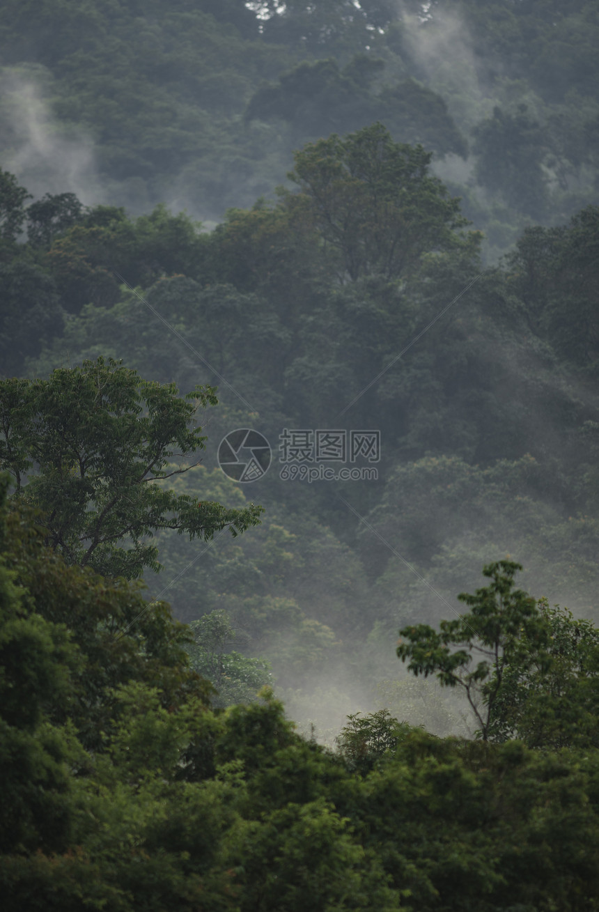 热带雨林自然景观观,泰国北海公园图片