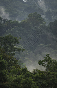 热带雨林自然景观观,泰国北海公园图片