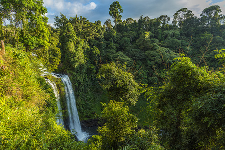 法森丛林老挝美丽的瀑布背景