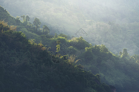 热带森林自然景观,泰国开义公园,老式过滤图像图片