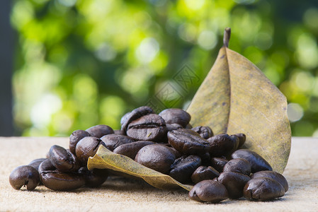 咖啡豆coffeebean的名词复数图片
