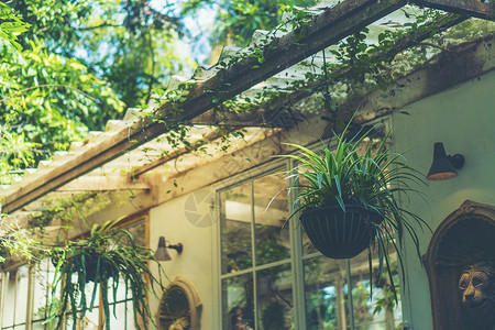 装饰客厅内部风格绿色生态环境与植物NAD树图片