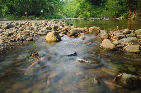 森林溪流流过苔藓般的岩石图片