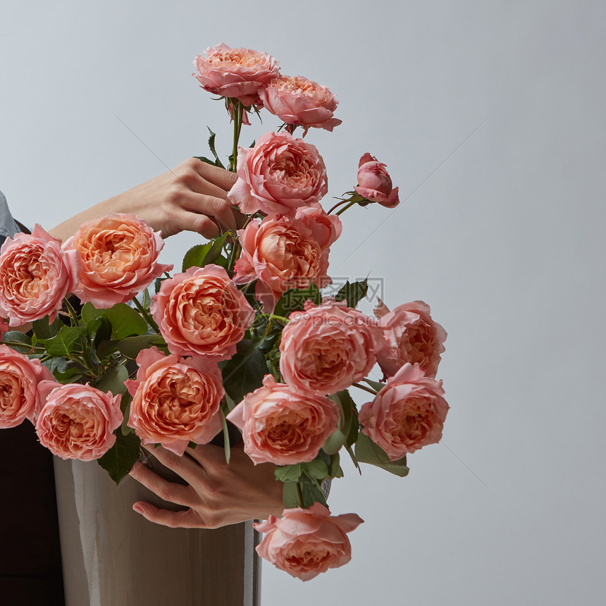 新鲜玫瑰女人的手着个花瓶,花瓶里放着粉红色的花,背景灰色的,文字的母亲节花瓶里明亮的粉红色玫瑰花图片