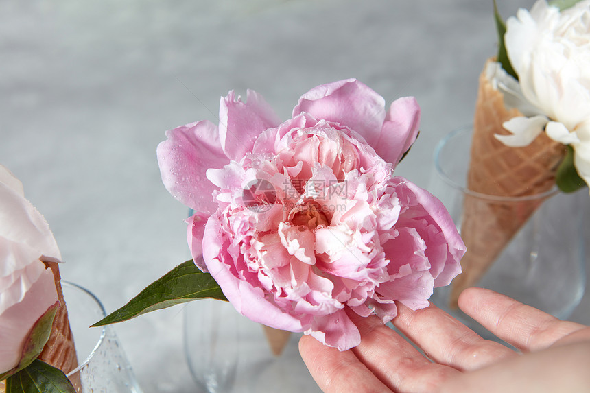 女孩用美丽的鲜花牡丹华夫饼锥璃花瓶灰色的石头背景,放置文字下美丽的粉红色牡丹花个Woomans的手与甜蜜的华夫饼图片