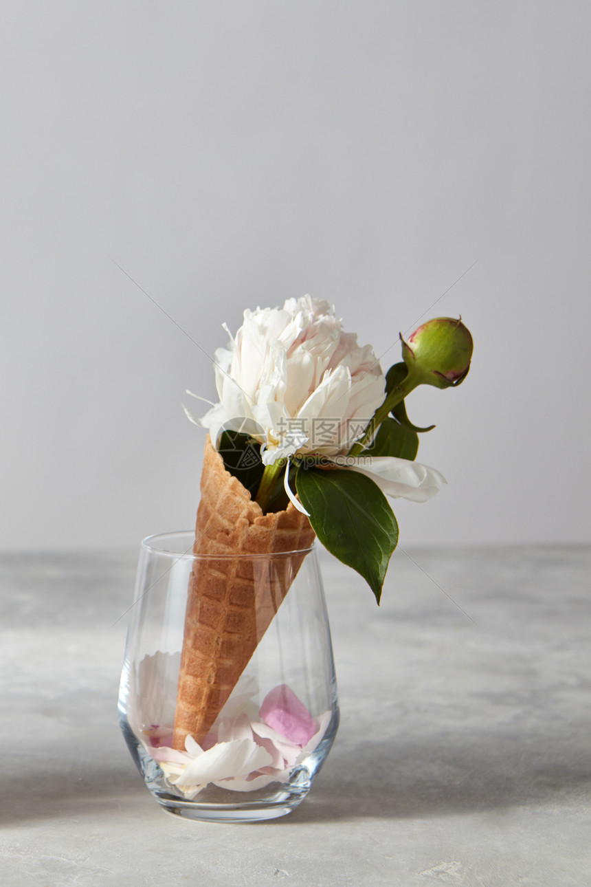 甜华夫饼锥与美丽的白色牡丹花花瓣个璃杯上的灰色背景,情人节祝贺的白色的花,花蕾绿叶,灰色的石桌上图片