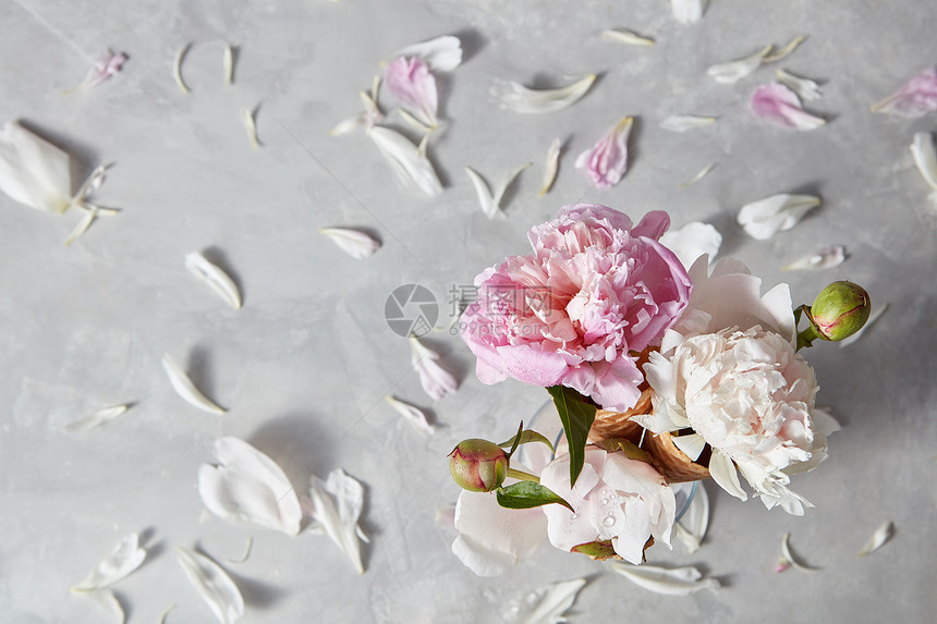 创意构图精致的花朵牡丹圆锥体璃花瓶与花瓣上的灰色石桌,的风景祝贺母亲节的贺卡盛开的白色粉红色图片