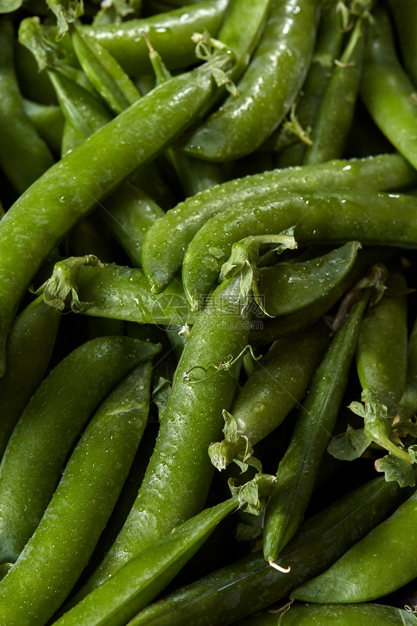 天然机特写青豌豆背景素食清洁健康饮食的新鲜采摘的绿色豌豆棒与水滴特写图片