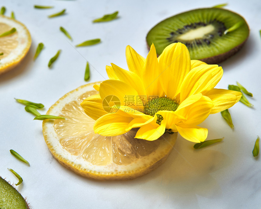 夏季新鲜的黄色小花,白色背景上片柠檬特写特写夏季黄花,猕猴桃片,柠檬绿色花瓣图片
