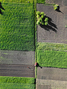 鸟瞰农业工作田间,拖拉机田间无人机的照片农村田野上的鸟瞰拖拉机工作图片