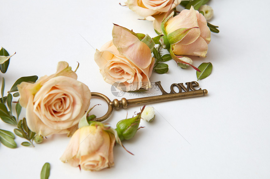 钥匙米色玫瑰花蕾白色背景上,文字的带玫瑰花瓣的钥匙图片