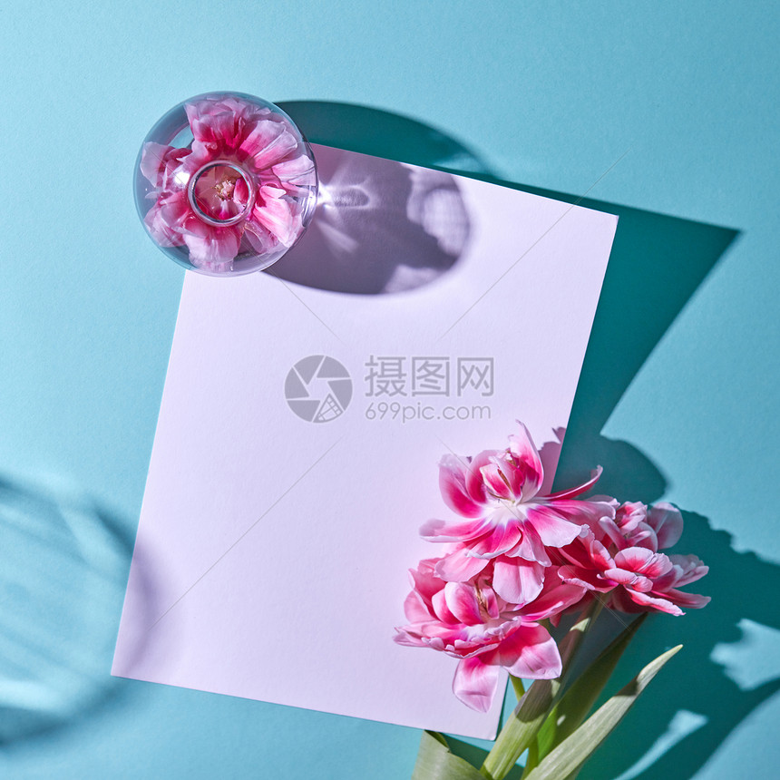 框架装饰粉红色郁金香,个璃花瓶与花,阴影反映蓝色背景与平躺美丽的春天构图,蓝色背景上用郁金香装饰的明信片图片