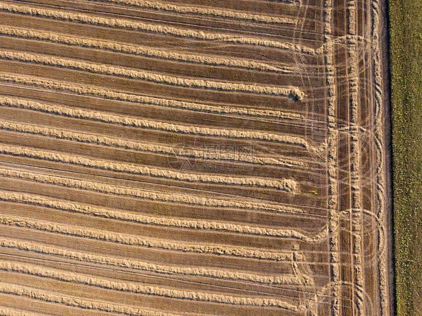 收获小麦后飞行无人机农田的全景丰收后的强条土地,自然背景的风景收获后田野的鸟瞰农田上的排稻草用于野图片