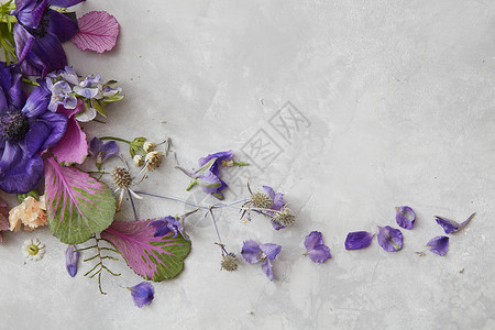 装饰灰色背景与许多海蓝花灰色背景下花卉的成情人节的灰色背景上的花的成图片