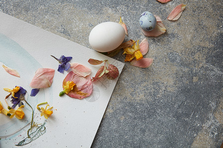 装饰五颜六色的复活节彩蛋花复活节彩蛋配花装饰图片