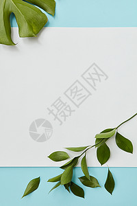 信封卡片张纸,文本下空的,蓝色的背景上,用树叶平躺着装饰明信片装饰的莱夫斯背景