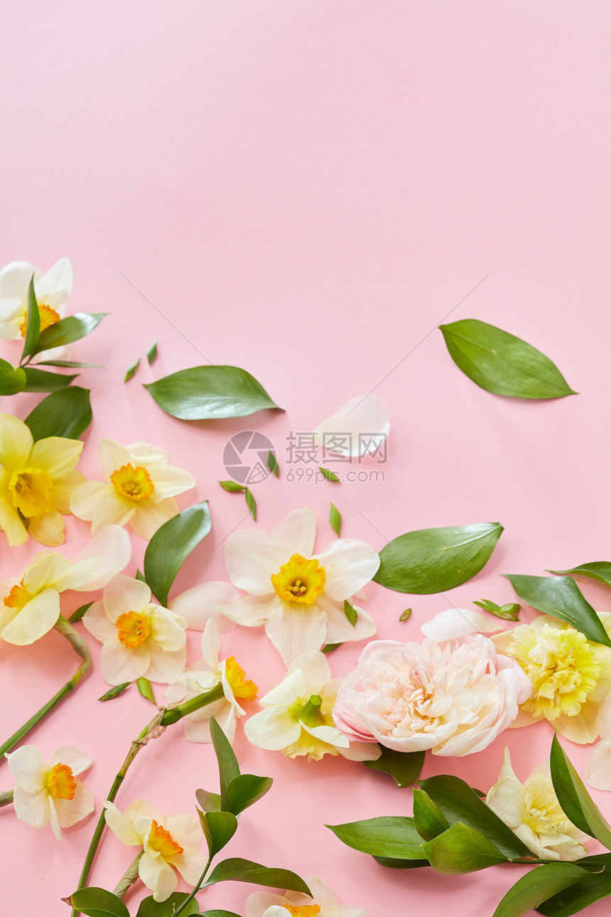 框架与花叶子粉红色的垂直背景与的文本平躺用花成图片