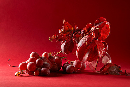 璃花瓶里的葡萄枝红色背景上的串葡萄串成熟的红色葡萄高清图片