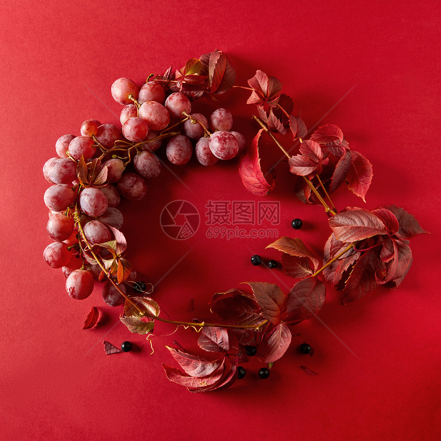 帧红葡萄葡萄叶个红色的背景平躺帧葡萄叶子图片