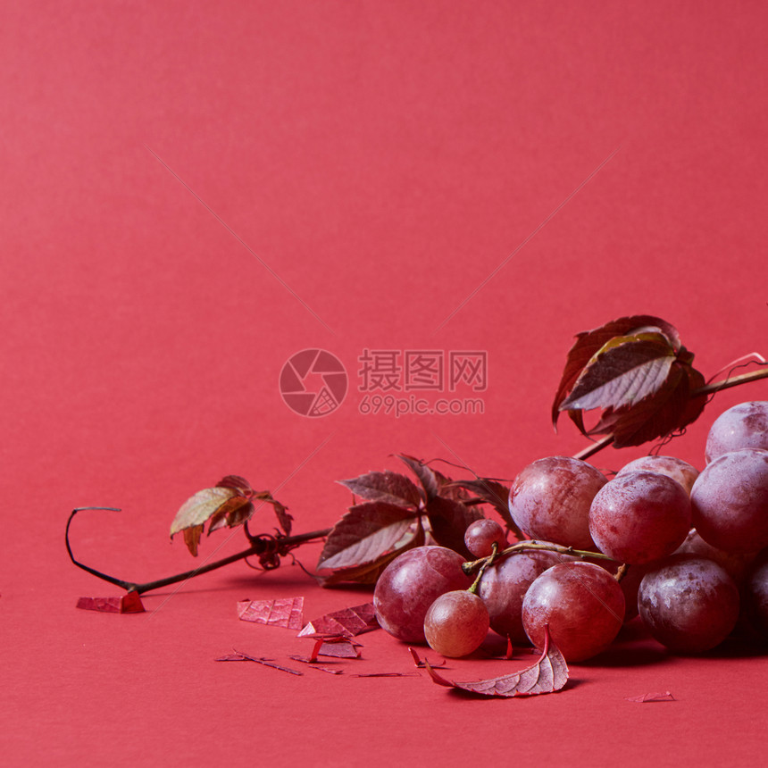 成熟的红葡萄粉红色的,叶子红色上分离图片