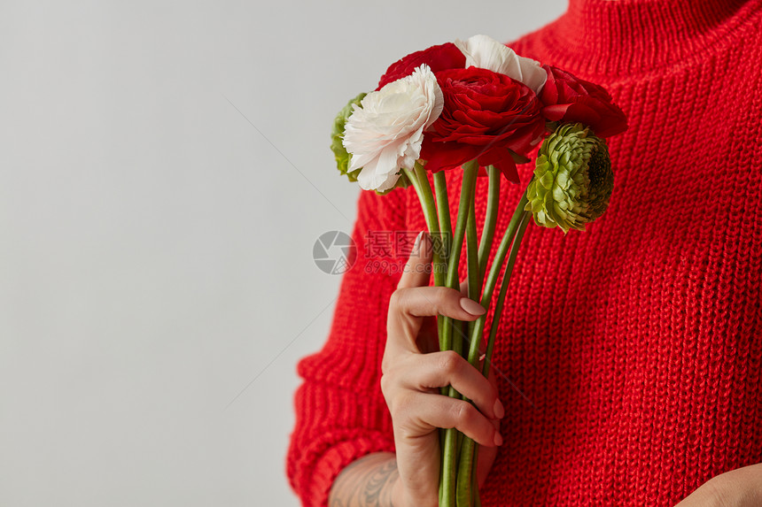 红色,绿色,白色的毛花女孩手里着温柔的花,背景灰色的,母亲节鲜艳的鲜花,女人手捧灰色的背景图片