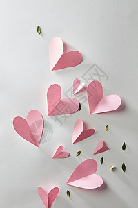 美丽的粉红色的心白色背景上的叶子瓦伦丁明信片粉红色心脏的卡片图片