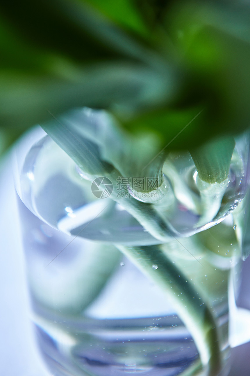 绿色花瓣透明花瓶的特写与郁金香茎水,模糊的背景璃花瓶的特写与郁金香茎水图片