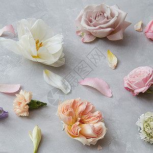 特写美丽的花的背景,用于贺卡婚礼装饰花花瓣的背景图片