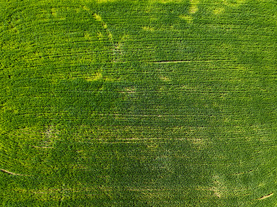 鸟瞰农村种田农业活动的无人机的照片鸟瞰农村的绿色田野无人机的照片背景图片