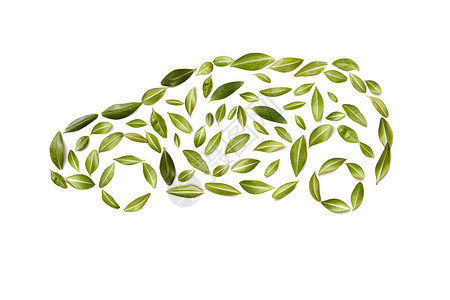 绿色汽车符号树叶,孤立白色背景上绿色的汽车树叶上剪下来图片
