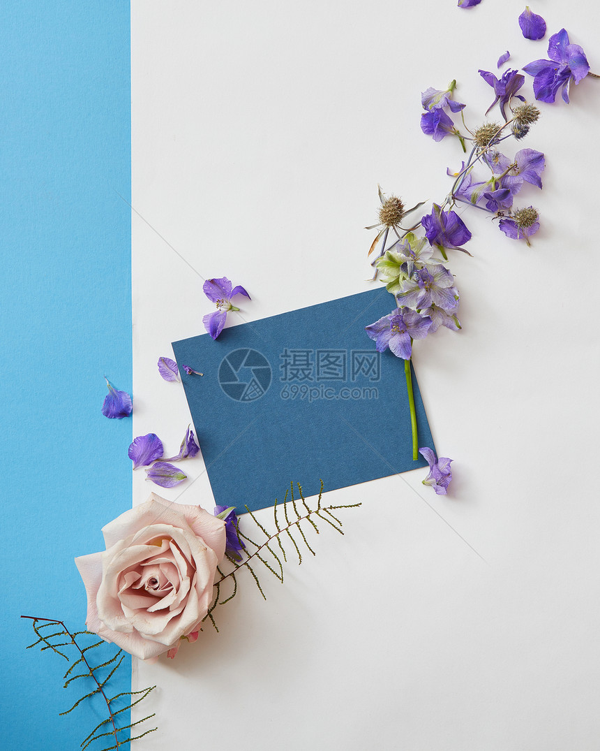 贺卡上紫色的花蓝色的纸白色的背景上,平躺着春花的框架图片